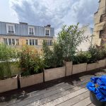 Aménagement paysager sur une terrasse à Paris (75)